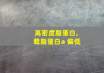 高密度脂蛋白,载脂蛋白a 偏低